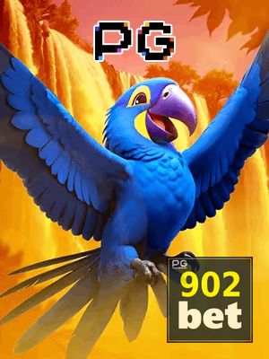 902BET bônus — cashback 15 por cento e níveis VIP
